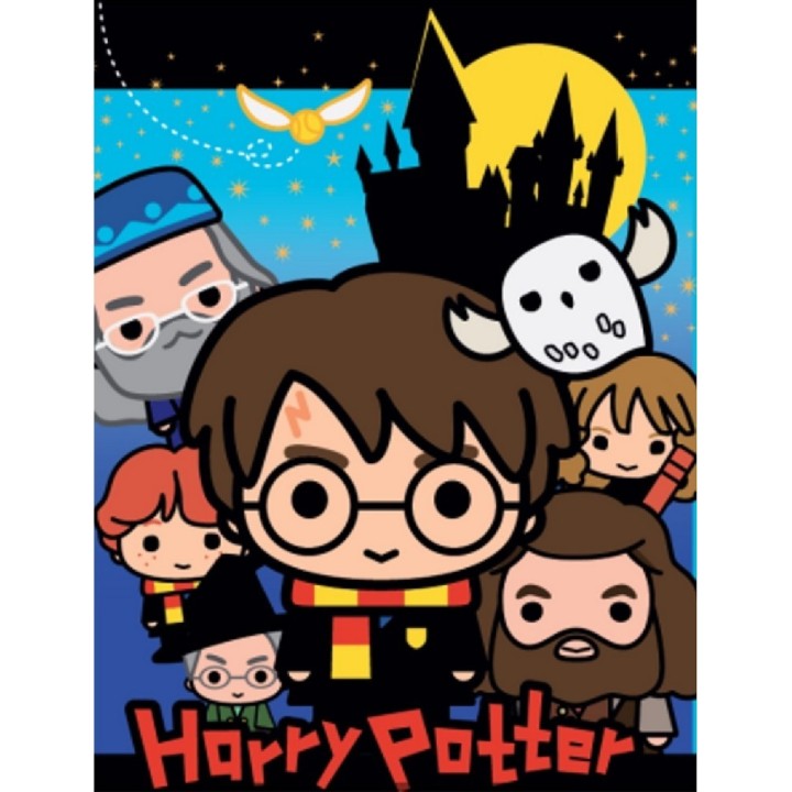 Plaid Polaire Harry Potter
