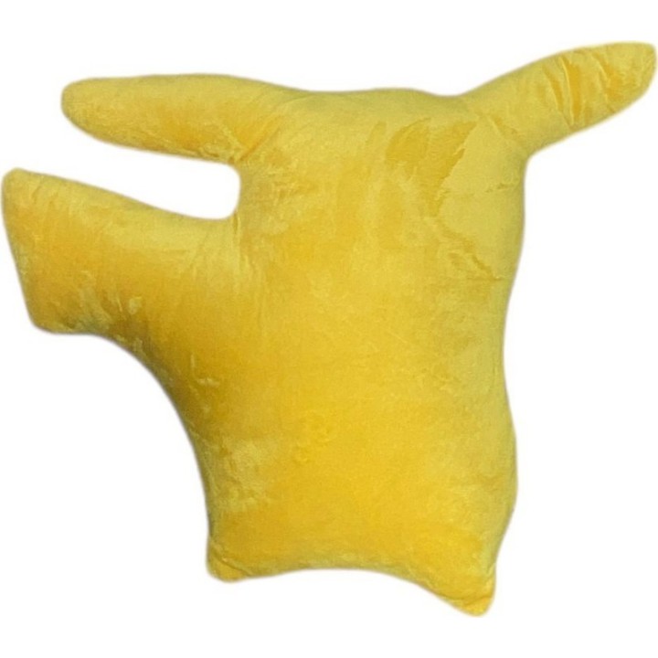 Coussin Pokémon Forme