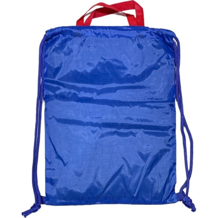 Sac de piscine Mickey Disney de luxe