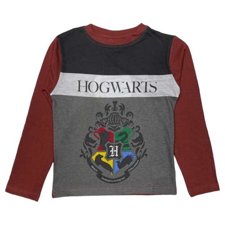 T-shirt Harry Potter  manches  long