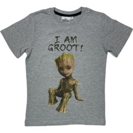 Tee-shirt Manches Courtes Star Wars