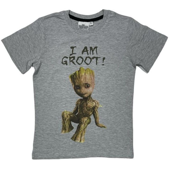 Tee-shirt Manches Courtes Star Wars
