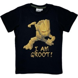 T-shirt Gardien de la galaxie Marvel ados