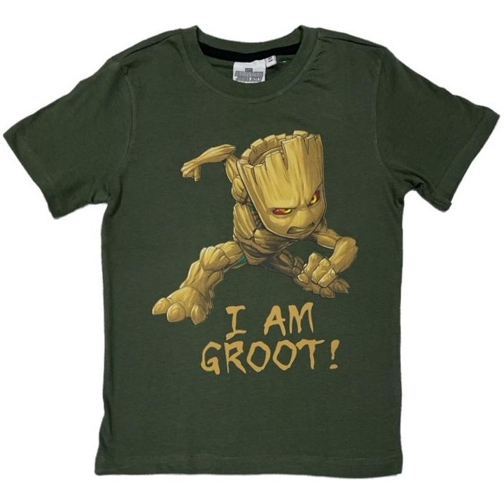 T-shirt Gardien de la galaxie Marvel ados