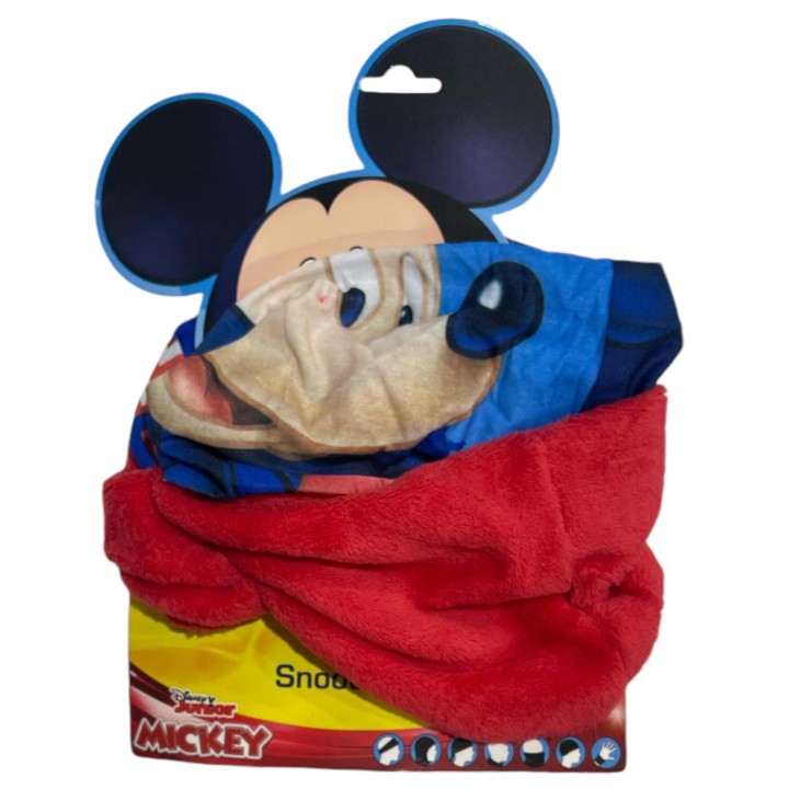 Cache Cou Mickey Disney