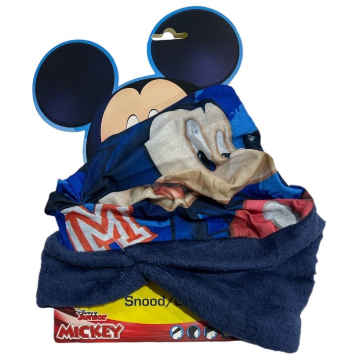 Cache Cou Mickey Disney