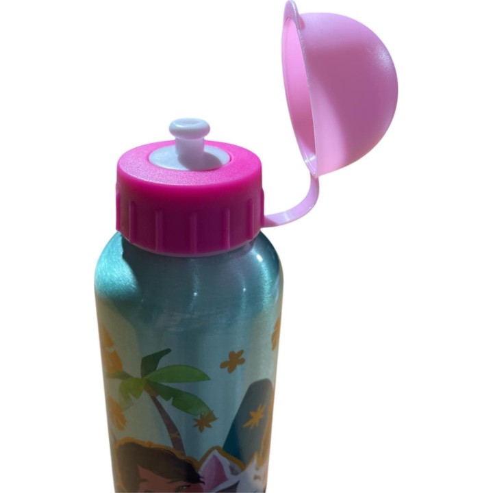 Gourde Aluminium Vaiana Disney  400 ML