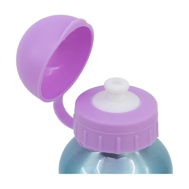 Gourde Aluminium Gabby's Dollhouse  400 ML