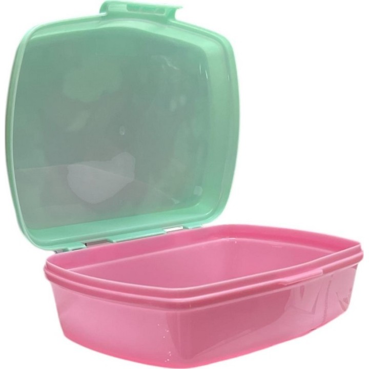 Boîte à goûter Vaiana Disney en Pvc