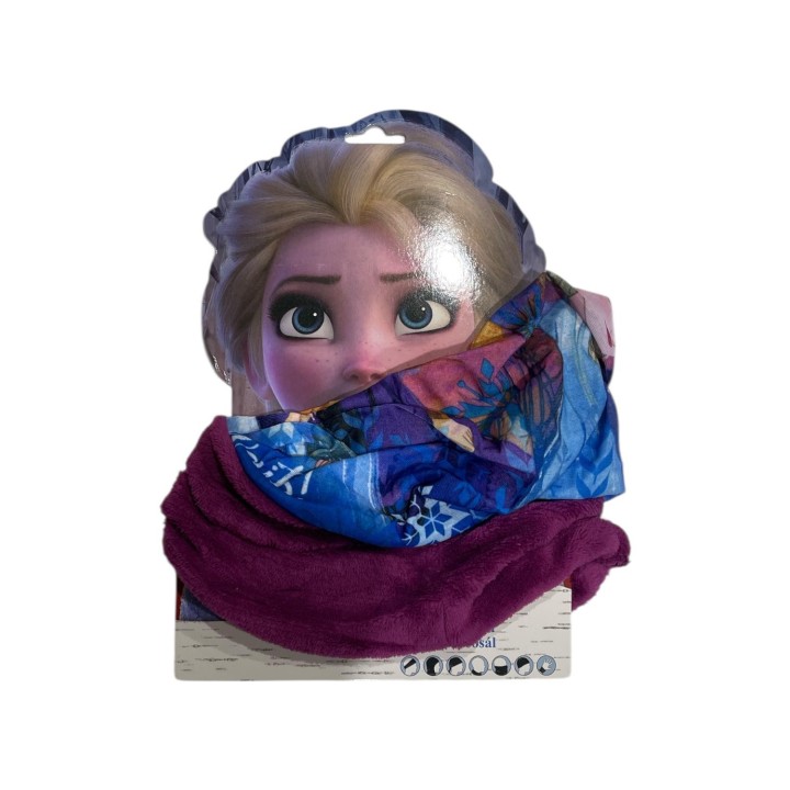 Cache Cou Frozen 2 Disney