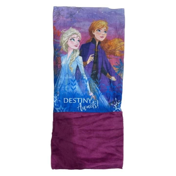 Cache Cou Frozen 2 Disney