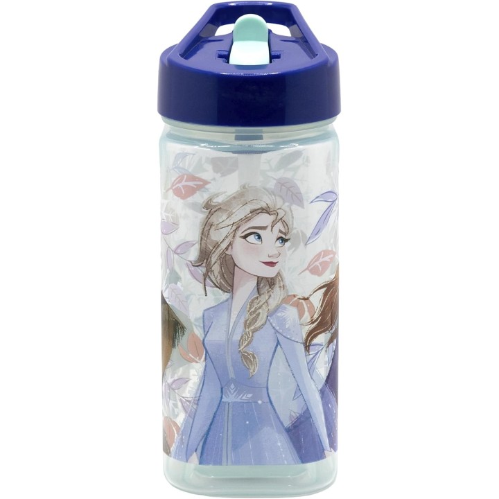 Bouteille d'eau carrée Frozen Disney 510 ml