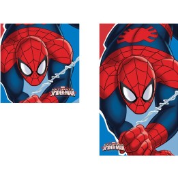 SET DE DEUX ESSUIES-MAINS SPIDERMAN