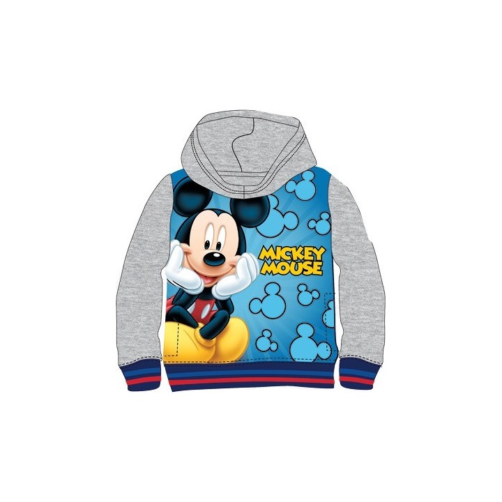 Sweat à Capuche Spiderman