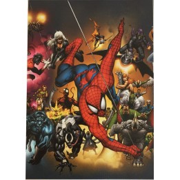 Housse de Couette Spiderman - 100% coton