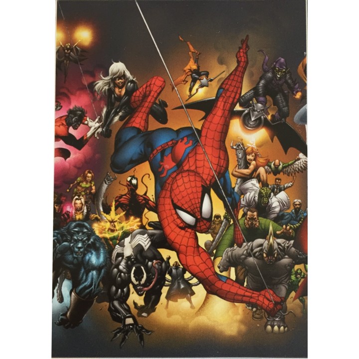 Housse de Couette Spiderman - 100% coton