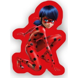 Coussin  miraculous forme
