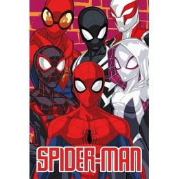 Drap de plage Spider-man Marvel en Coton