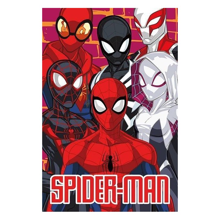 Drap de plage Spider-man Marvel en Coton
