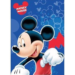 Plaid Polaire Mickey Disney