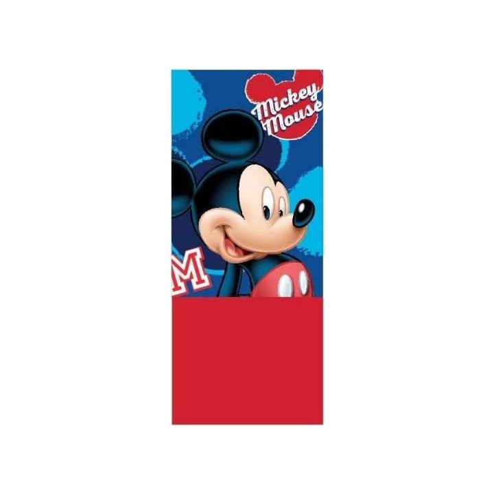 Cache Cou Mickey Disney