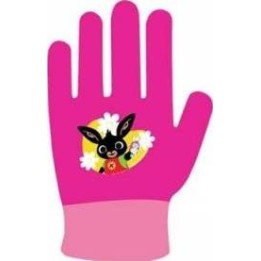 Gants Bing 