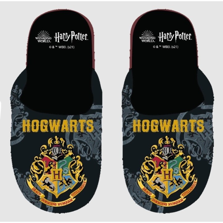 Chausson Harry Potter