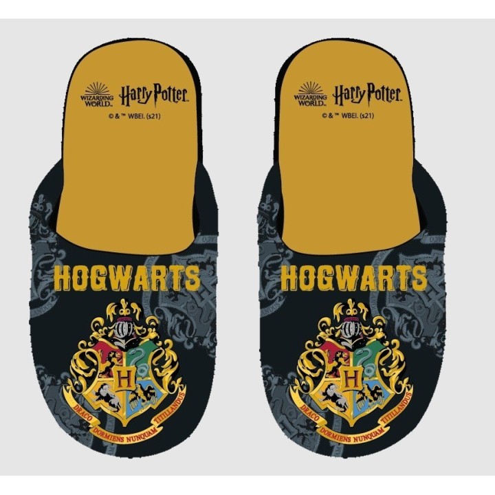 Chausson Harry Potter