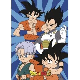 Plaid Polaire Dragon Ball Z Super
