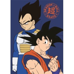 Plaid Polaire Dragon Ball Z Super